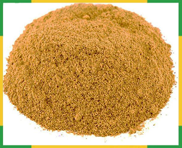 Cinnamon Powder