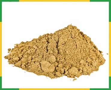 Fennel Powder