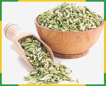Fennel Seeds
