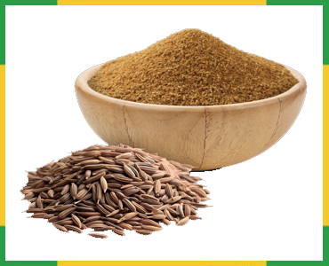 Cumin Powder
